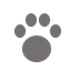 Pet Park